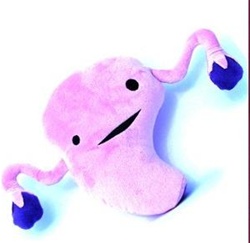 Huge Uterus Plush - Womb Service!