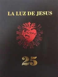 La Luz De Jesus 25: The Little Gallery That Could Book by Billy Shire