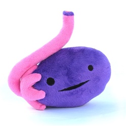 Ovary Plush - Ova Achiever